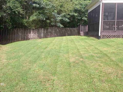 Lawn Care service in Oneonta, 35121