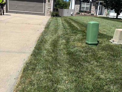 Lawn Care service in Roeland Park, 65401