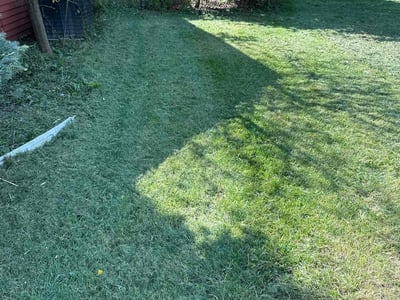Lawn Care service in Parsippany, 07054