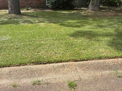 Lawn Care service in Byram, 39272