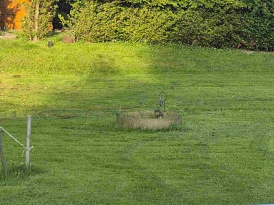 Lawn Care service in Depew, 14043