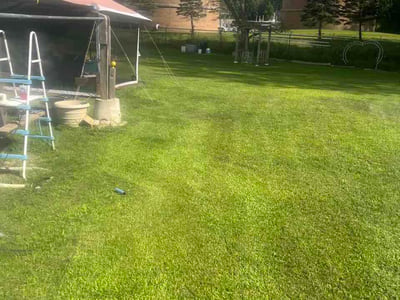 Lawn Care service in Holly, 48442