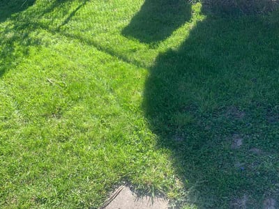 Lawn Care service in Depew, 14043