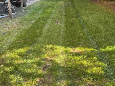 Lawn Care service in Brooklyn Center, 55429