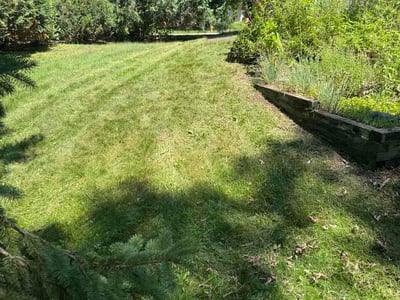 Lawn Care service in Zimmerman, 55398