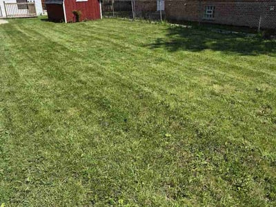 Lawn Care service in Skokie, 60076