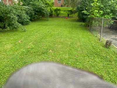 Lawn Care service in Overland, 63114