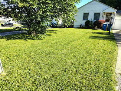 Lawn Care service in Overland, 63114
