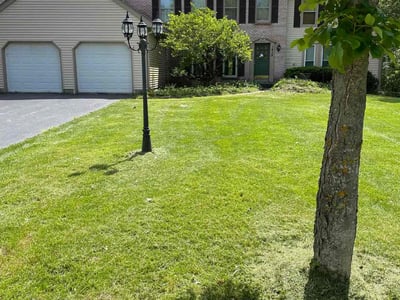 Lawn Care service in Algonquin, 60156