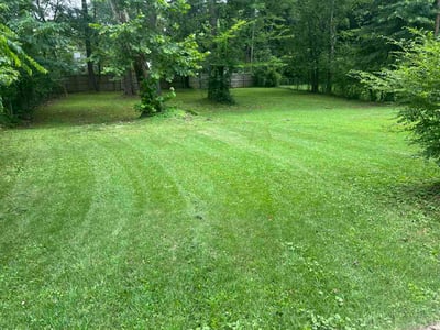 Lawn Care service in Clay, 35126