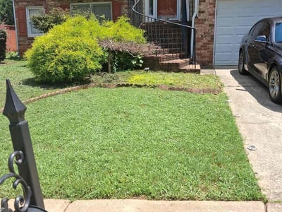 Lawn Care service in Powder Springs, 30127