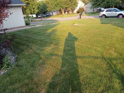 Lawn Care service in Saint Michael, 55376