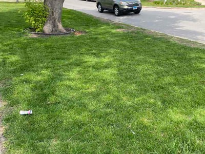 Lawn Care service in Elmhurst, 60126