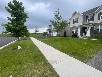 Lawn Care service in Elmhurst, 60126