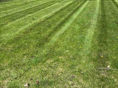 Lawn Care service in Arlington Heights, 60004