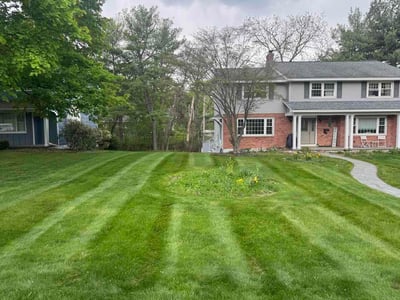 Lawn Care service in Ballston Spa, 12020