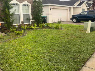 Lawn Care service in St Cloud, 34769