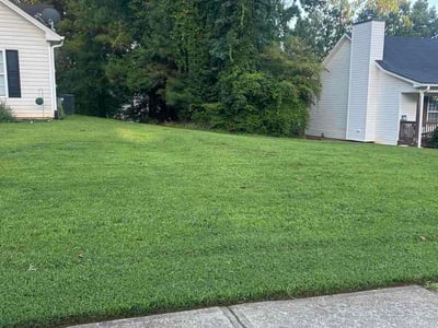 Lawn Care service in Monroe, 30655
