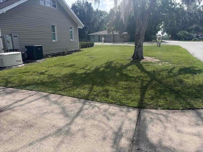 Lawn Care service in Tavares, 32778