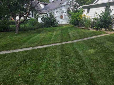 Lawn Care service in Hopkins, 55343