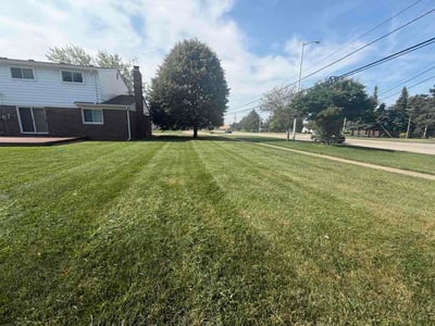 Lawn Care service in Sterling Heights, 48312