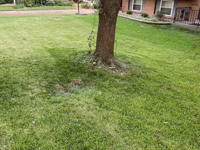 Lawn Care service in Eureka, 63025