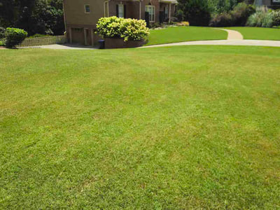 Lawn Care service in Trussville, 35173
