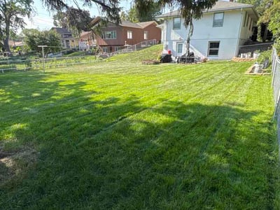 Lawn Care service in Bloomington, 55431