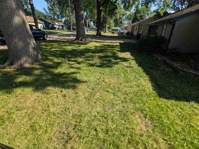 Lawn Care service in Independence, 64050
