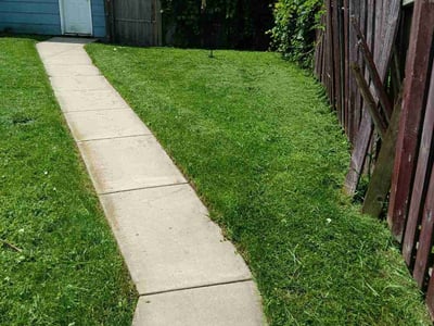Lawn Care service in Anoka, 55303