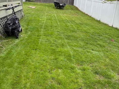 Lawn Care service in Worcester, 01608