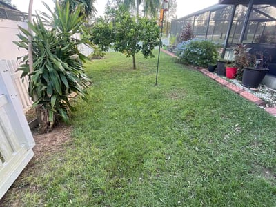 Lawn Care service in Valrico, 33594