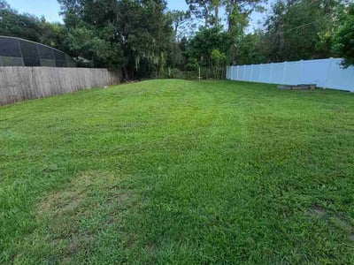 Lawn Care service in Valrico, 33594