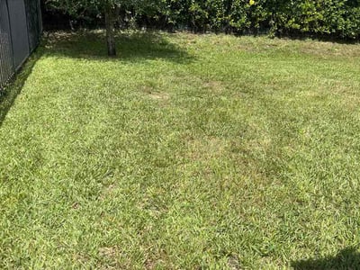 Lawn Care service in Valrico, 33594