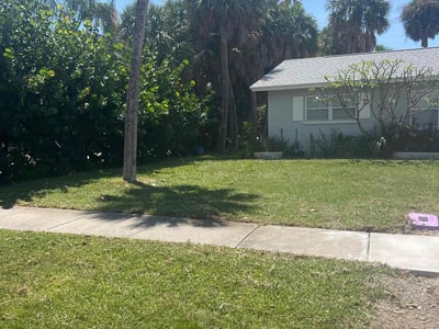 Lawn Care service in Clearwater, 33755