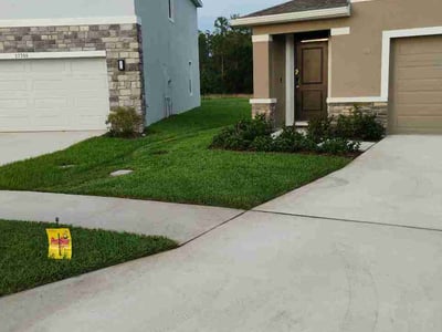 Lawn Care service in Lithia, 33547
