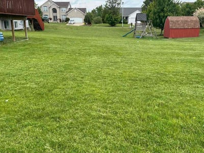 Lawn Care service in Sparta, 49345