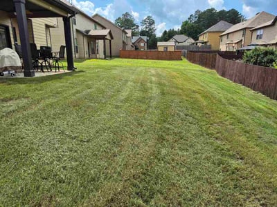 Lawn Care service in Hampton, 30228