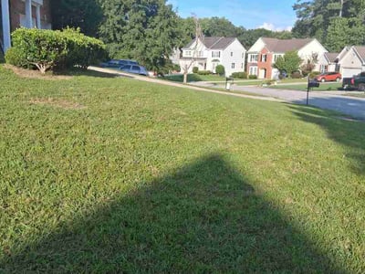 Lawn Care service in College Park, 30337