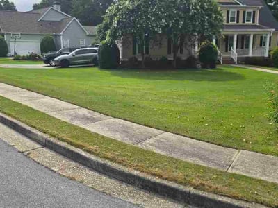 Lawn Care service in Loganville, 30052