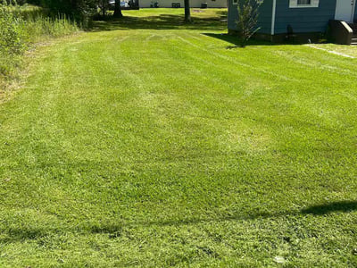 Lawn Care service in Pearl, 39208