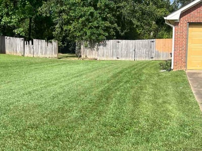 Lawn Care service in Pearl, 39208