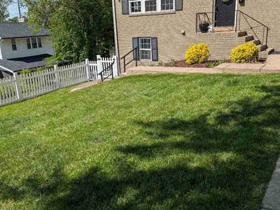Lawn Care service in Gainesville, 20155