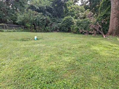 Lawn Care service in Gainesville, 20155