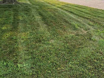 Lawn Care service in Forest Lake, 55025