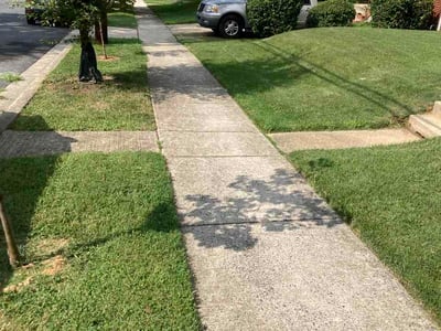 Lawn Care service in Greenbelt, 20770