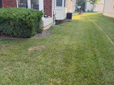 Lawn Care service in Greenbelt, 20770
