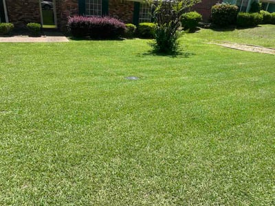 Lawn Care service in Jackson, 39201