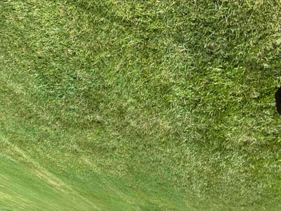 Lawn Care service in Lilburn, 30047