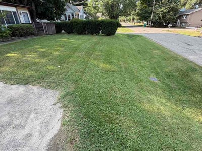 Lawn Care service in Holt, 48842